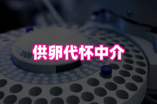幸孕 1